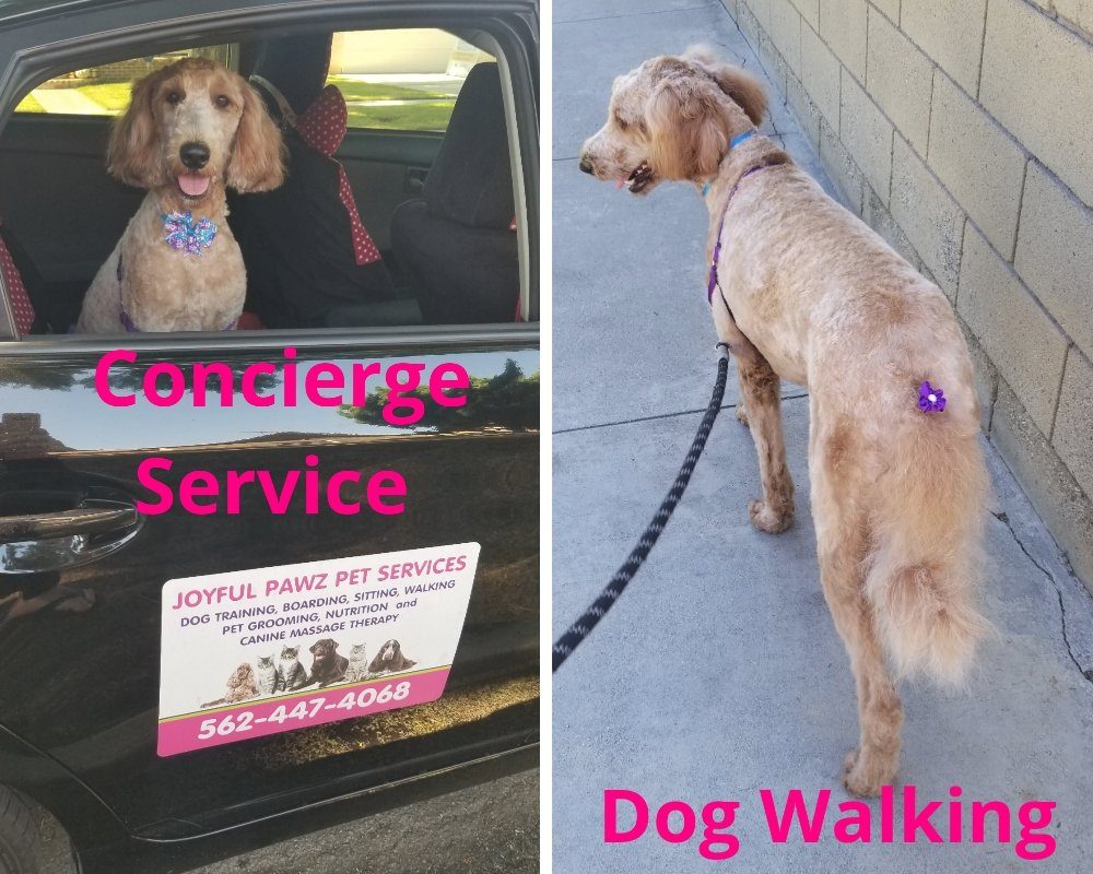 Pick-Up & Drop-Off Concierge by Joyful PawZ Pet Services