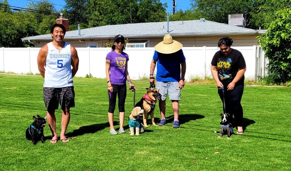It Started With a Pitbull Named Sally