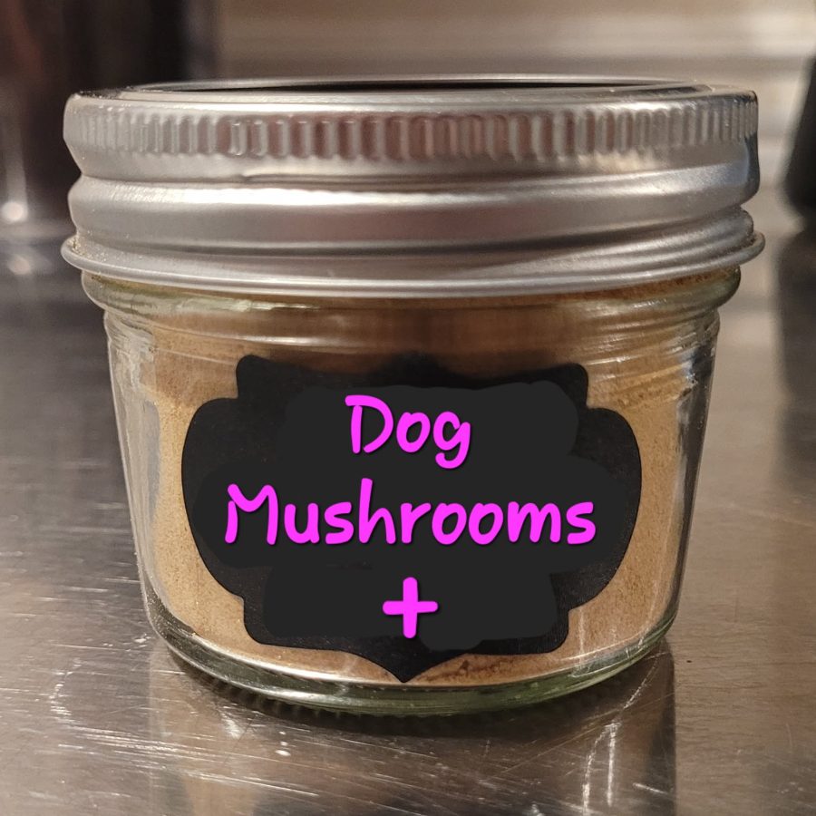 Naomi's organic mushroom and herb supplement for dogs