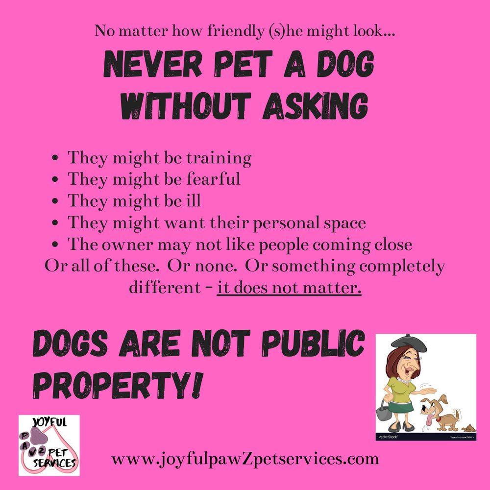 Joyful PawZ pet care tip flyer