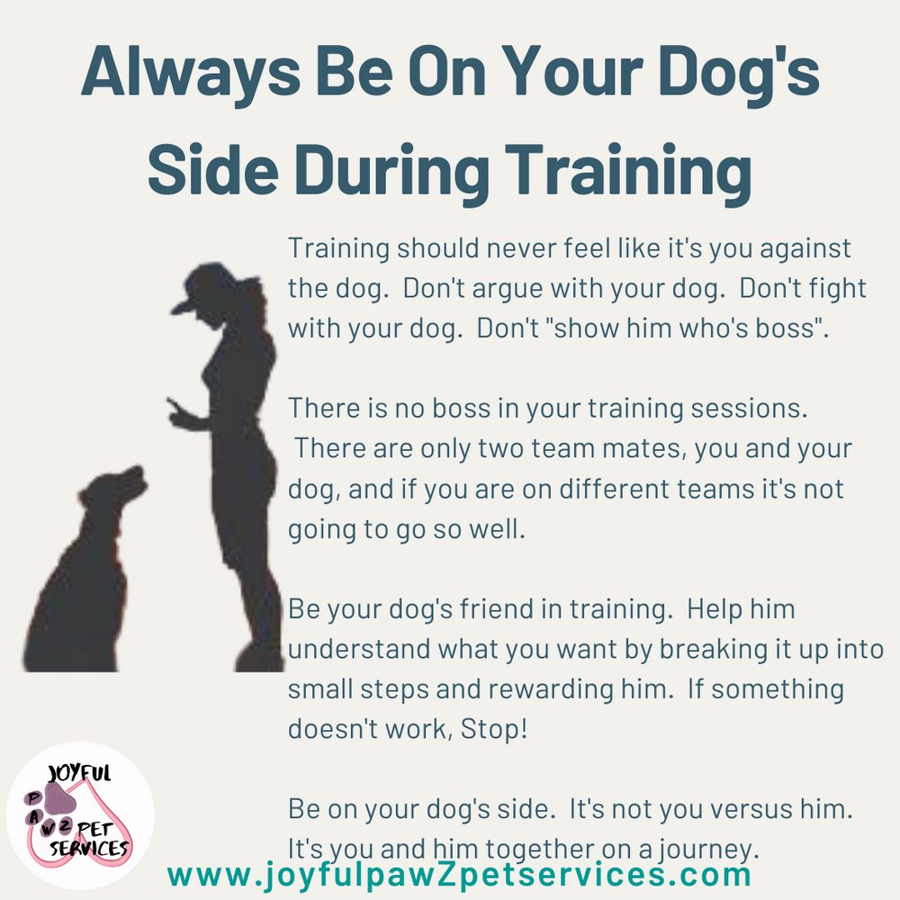 Joyful PawZ pet care tip flyer